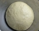 Foto langkah ke 1 dari resep (Sourdough Discard) Pizza Rolls.
