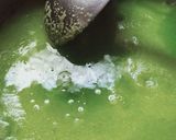 A picture of step 5 of Sooji Ka Halwa.