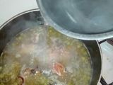 جلبانة بكريات الدجاج