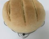 Foto del paso 5 de la receta Pan en Horno microondas (5 ingredientes)