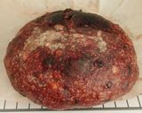 Foto langkah ke 20 dari resep Orange Peel Double Chocolate Sourdough Bread.