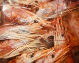 Foto del paso 1 de la receta: Gambón al ajillo en su salsa (te chuparás los dedos...compra pan)
