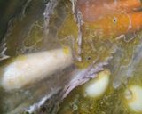 Kacsaleves recept fázis 1 fotója