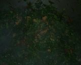 A picture of step 5 of Sukumawiki #festive season contest kakamega.