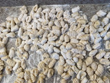 Ñoquis caseros 😍