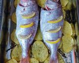 Foto del paso 4 de la receta: Besugos al horno con patatas, infusionados con aceite de tomillo