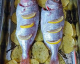 Foto del paso 4 de la receta: Besugos al horno con patatas, infusionados con aceite de tomillo