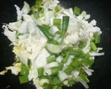 A picture of step 2 of Cabbage-Spring Onion Fry.