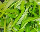 Foto langkah ke 3 dari resep Oseng Kangkung Bumbu Uleg.