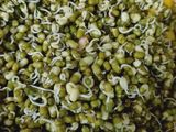 Sprouts chaat