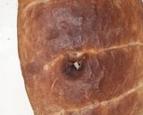 Fehér kenyér recept fázis 3 fotója