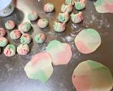 A picture of step 4 of Kawaii Colorful Gyoza Dumplings.