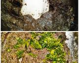 Sertés szűzpecsenye Wellington módra leveles tésztában vörösboros redukcióval recept lépés 2 foto