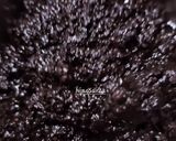 Foto langkah ke 4 dari resep Bumbu Dasar Hitam (Bumbu Kluweg / Pocung) _ untuk Aneka Masakan🍲🍗🥩🍖🍲🥘🫕.