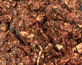 A picture of step 2 of Mosaic Cake.