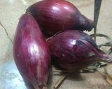 Foto del passaggio 1 della ricetta Cipolle di Tropea Caramellate