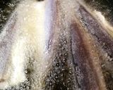 Foto del paso 3 de la receta: Mairas fritas 🐟
