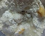 Foto langkah ke 2 dari resep Wingko Susu.