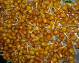 A picture of step 2 of Spicy bhunja ankurit Chana.