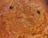 Gambar langkah 6 resipi Ayam masak cili merah.