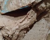 Foto langkah ke 2 dari resep Chocolate Peanut Cookies.