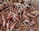 صورة لخطوة 1 من وصفة طريقة تحضير وحفظ السماق خطوة بخطوة 🥰