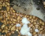 मसालेदार मूंगफली (MASALEDAR MOONG PHALI RECIPE IN HINDI) रेसिपी चरण 4 फोटो