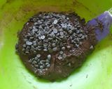 Foto del paso 3 de la receta: Galletas superchocolatosas: ¡Una perdición!🍫😋