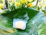 Bánh đậu xanh Thái Lan bước làm 6 hình