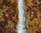 Foto del paso 7 de la receta: Arroz a banda de sepia y gambas