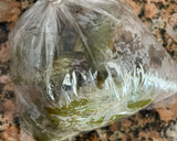 Foto del paso 2 de la receta: Pastel azteca de pollo