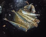 Foto langkah ke 2 dari resep Tumis Ikan Asin Rebus.