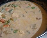 Navaratna korma recipe step 5 photo