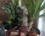 عکس مرحله 1 از دستور کلوچه کاکائویی راحت با بافتی عالی
