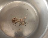 A picture of step 4 of Enriched rice porridge.