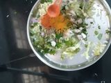 Louki Pakoda/kofta Curry
