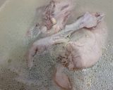 Foto langkah ke 2 dari resep Opor Ayam Kampung Bamboe.