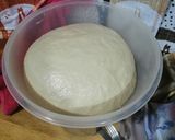 Foto del paso 2 de la receta: Pan rústico natural