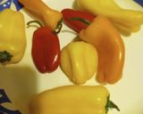 A picture of step 1 of Experiment Chili Batch 3.