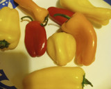 A picture of step 1 of Experiment Chili Batch 3.