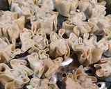 Foto langkah ke 2 dari resep Siomay ikan tenggiri lembut.