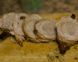 Foto del paso 2 de la receta: Zarajo manchego