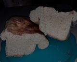 Foto del paso 8 de la receta: Pan de Molde