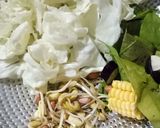 Foto langkah ke 1 dari resep Sayur lodeh fibre cream.