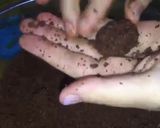 Foto del paso 3 de la receta: Trufas de Chocolinas