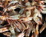 Foto langkah ke 1 dari resep Kaldu Udang Bubuk.