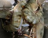 Foto langkah ke 1 dari resep Udang Oven Madu.
