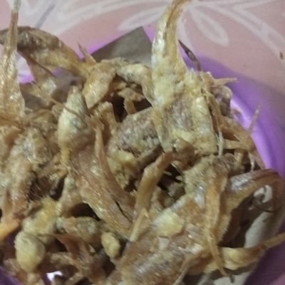 Langkah 5