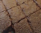 Foto del paso 5 de la receta: Brownie de chocolate. Muy fácil, muy rápido y muy sabroso 🤤