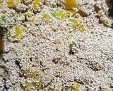 Foto del paso 2 de la receta: Quinoa con pimiento
